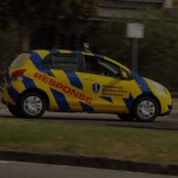 National Protective Services