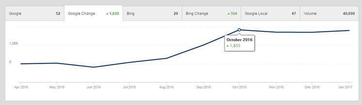 Backlink Removal Service