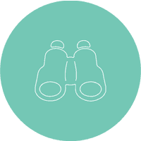 Competitors and Opportunities