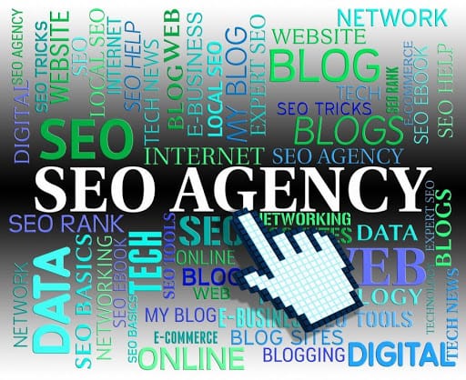 SEO Agency Website