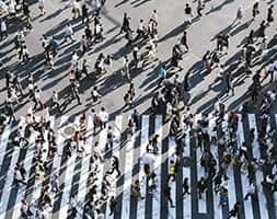 Busy Pedestrian Lane with Many People Crossing